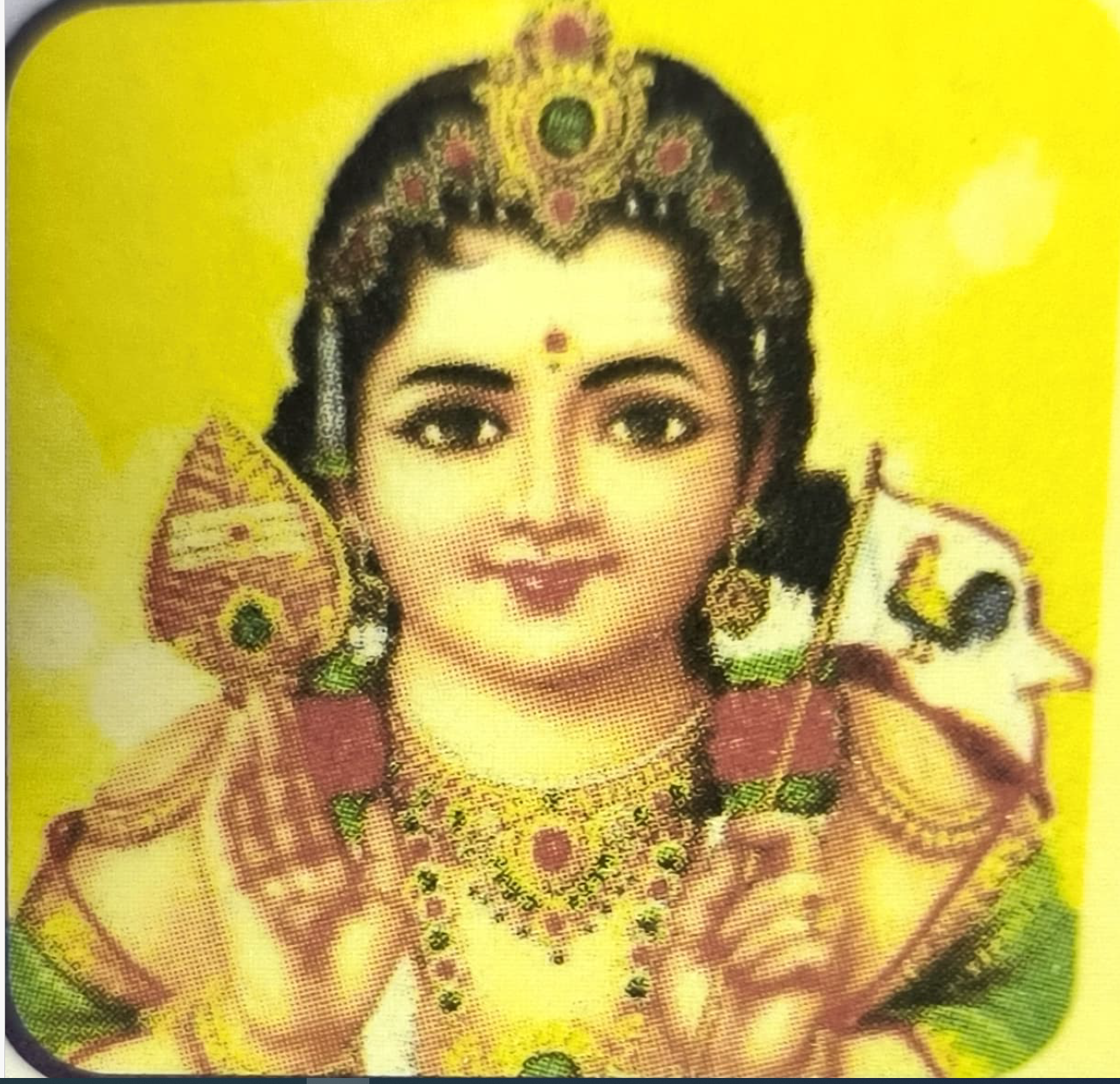 JayImpex Logo - Commodities Exporter